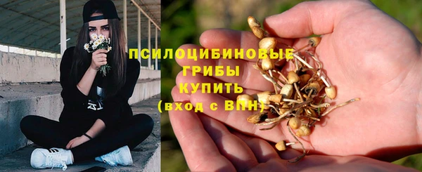 каннабис Заводоуковск