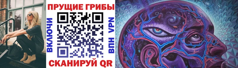Купить где  Неман  Галлюциногенные грибы Psilocybine cubensis 